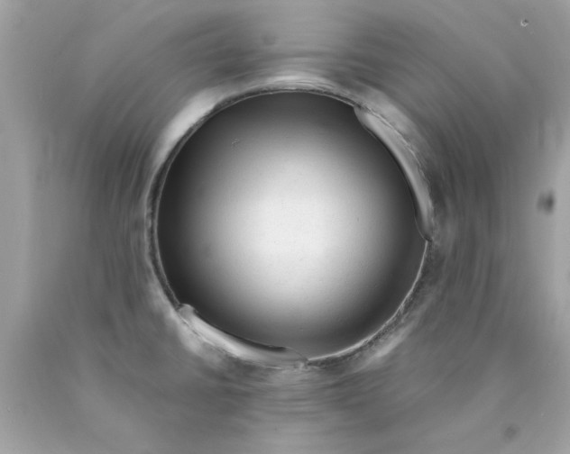X0000089951430200707201915