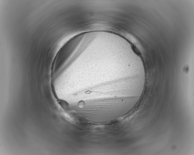 X0000089951431200707201915