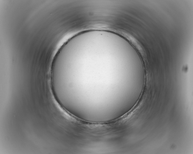X0000089951432200707201915