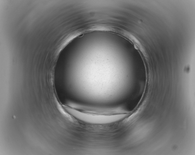 X0000089951433200707201915