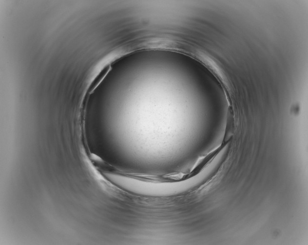 X0000089951434200707201915