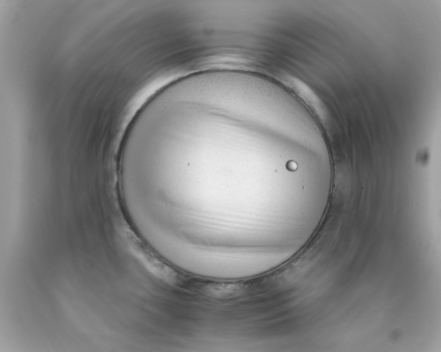 X0000089951435200707201915