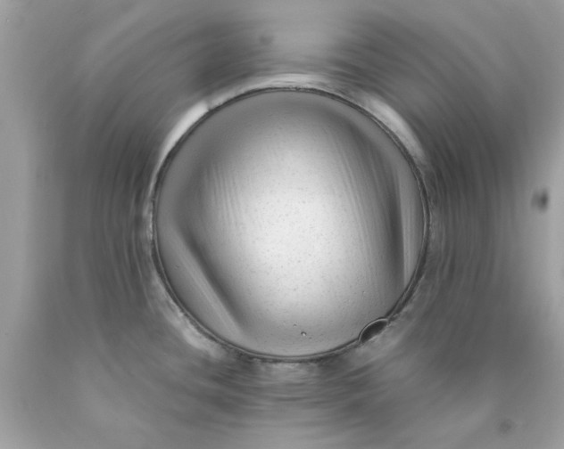 X0000089951436200707201915