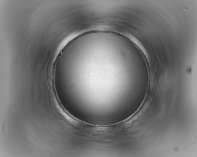 X0000089951437200707201915