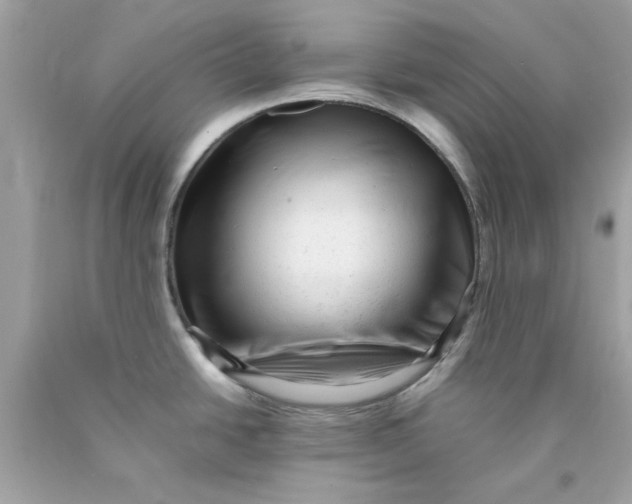 X0000089951438200707201915
