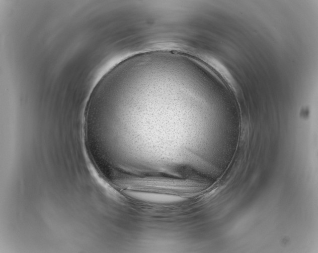 X0000089951439200707201915