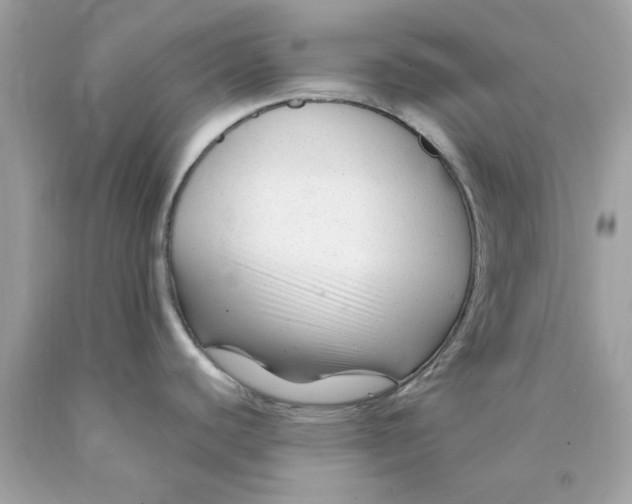 X0000089951440200707201916