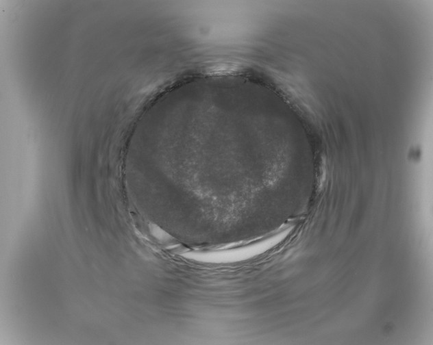 X0000089951441200707201915