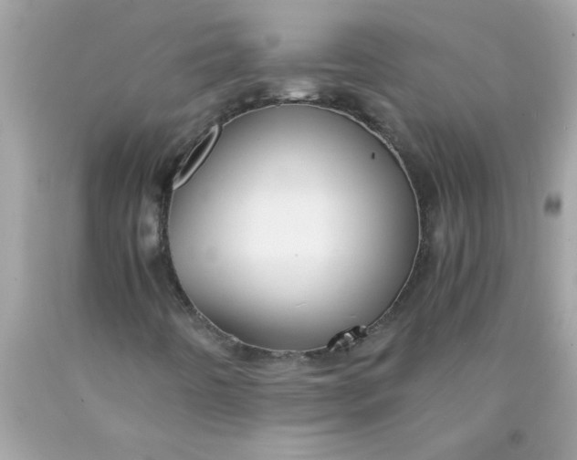 X0000089951442200707201915