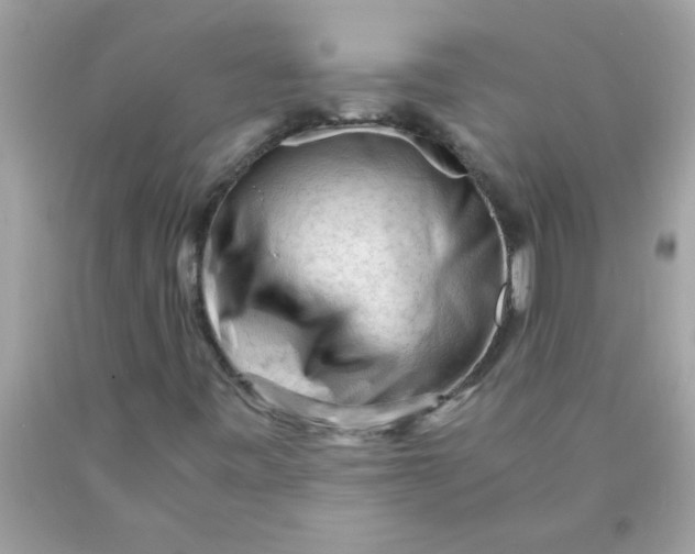 X0000089951443200707201915