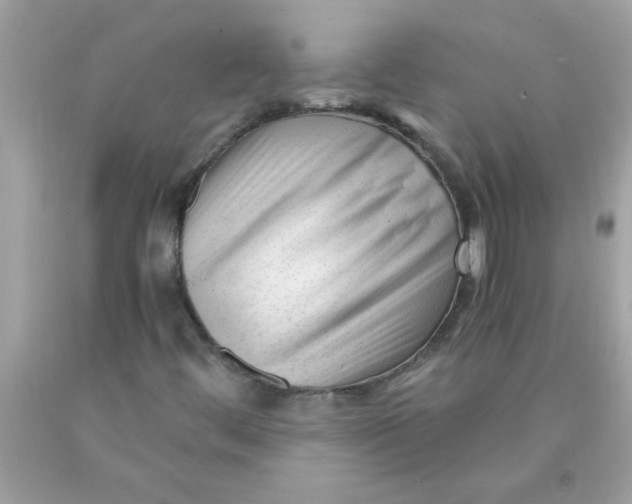 X0000089951444200707201915