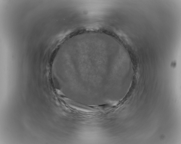 X0000089951445200707201915