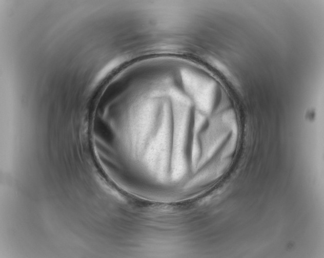 X0000089951450200707201915
