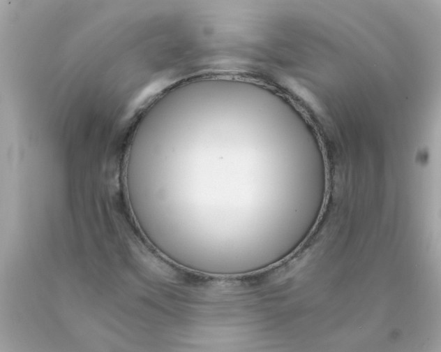X0000089951451200707201915