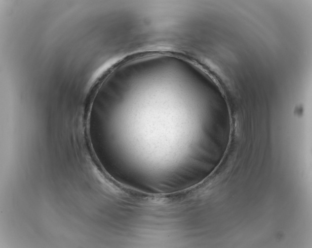 X0000089951452200707201915