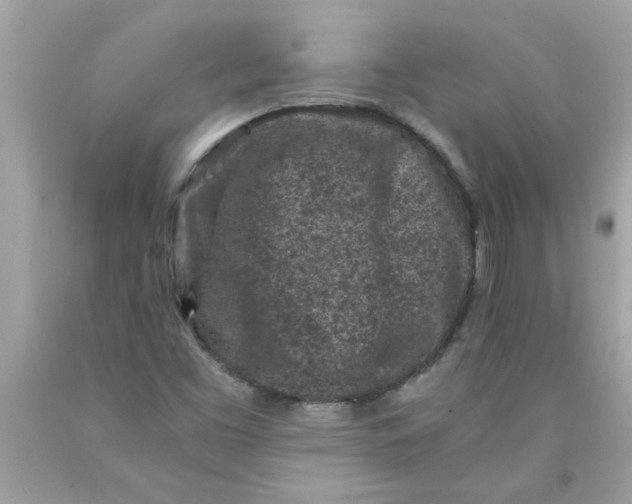 X0000089951453200707201915