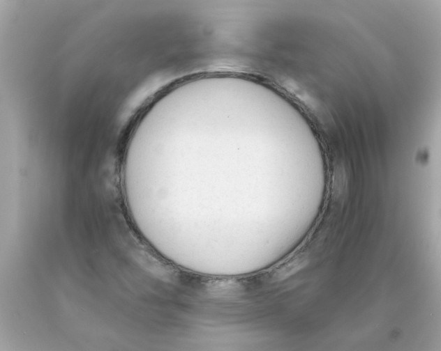 X0000089951454200707201915