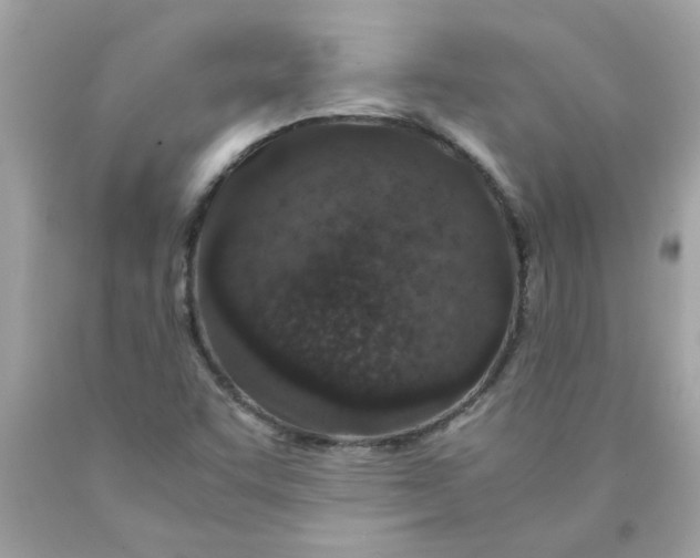 X0000089951455200707201915