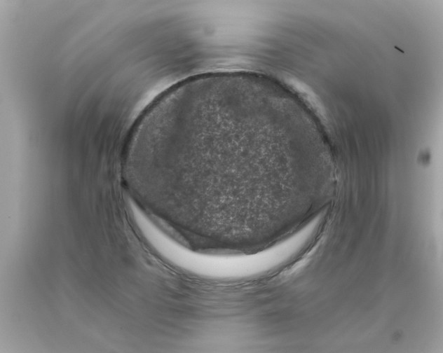 X0000089951457200707201915