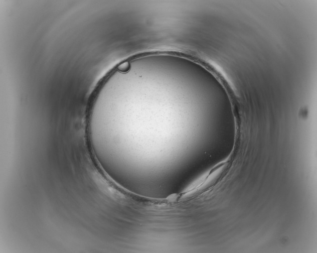 X0000089951460200707201915