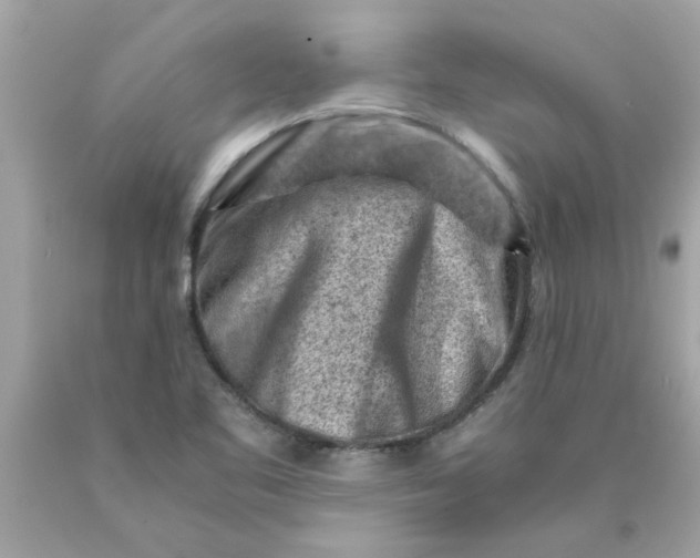 X0000089951461200707201915