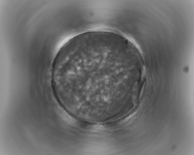 X0000089951463200707201915