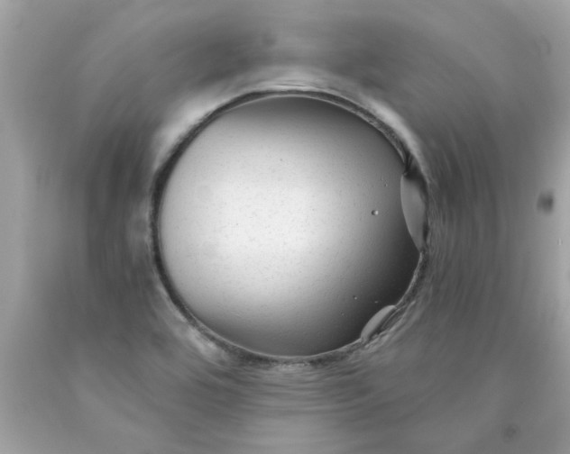 X0000089951464200707201915