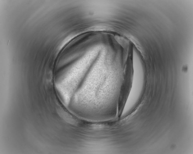 X0000089951465200707201914