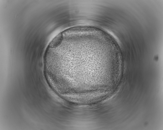 X0000089951467200707201914