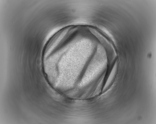 X0000089951469200707201914