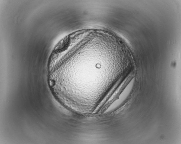 X0000089951471200707201914