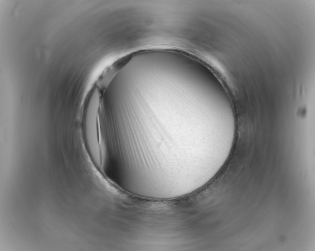 X0000089951472200707201914