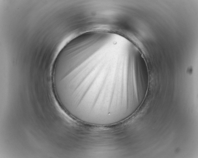 X0000089951475200707201914
