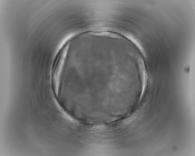 X0000089951477200707201914