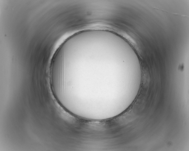 X0000089951478200707201914