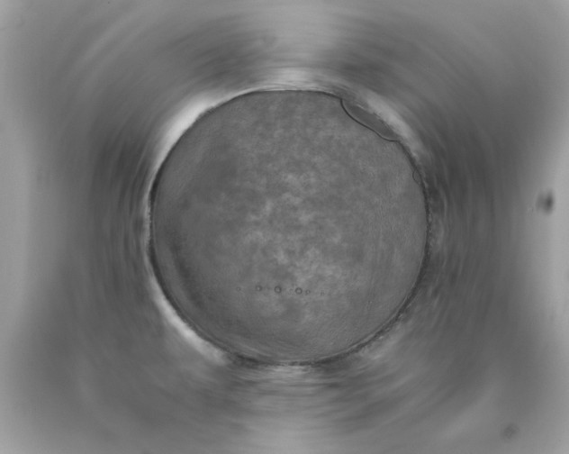 X0000089951479200707201914