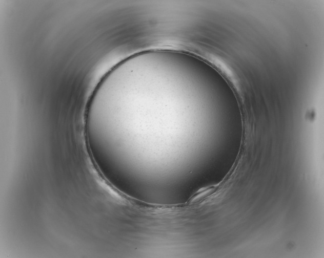 X0000089951480200707201914