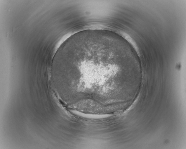 X0000089951481200707201914