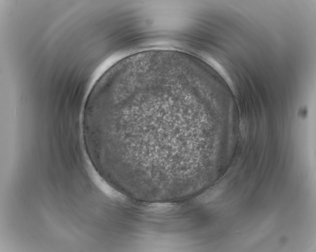 X0000089951482200707201914
