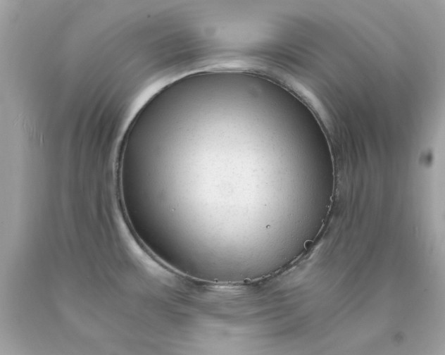 X0000089951483200707201914