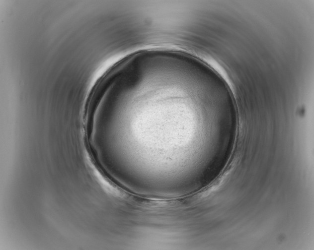 X0000089951485200707201914