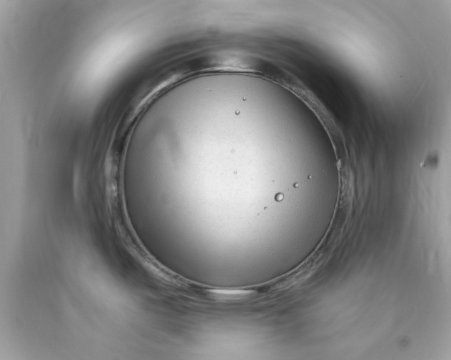 X0000089951487200707201914