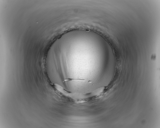 X0000089951490200707201914