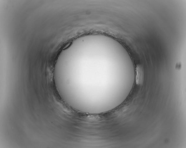 X0000089951491200707201914