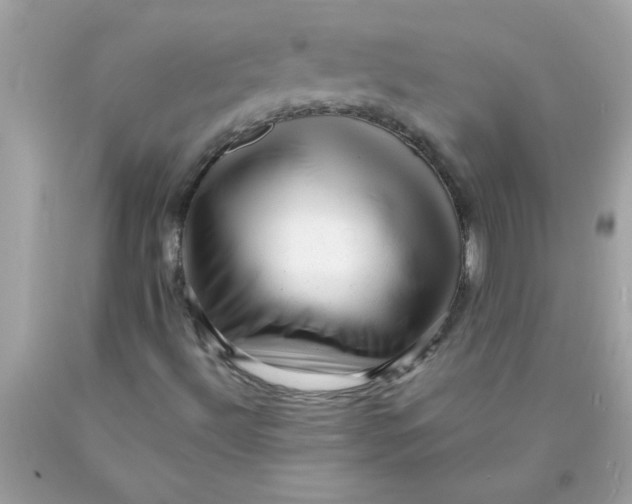 X0000089951492200707201914