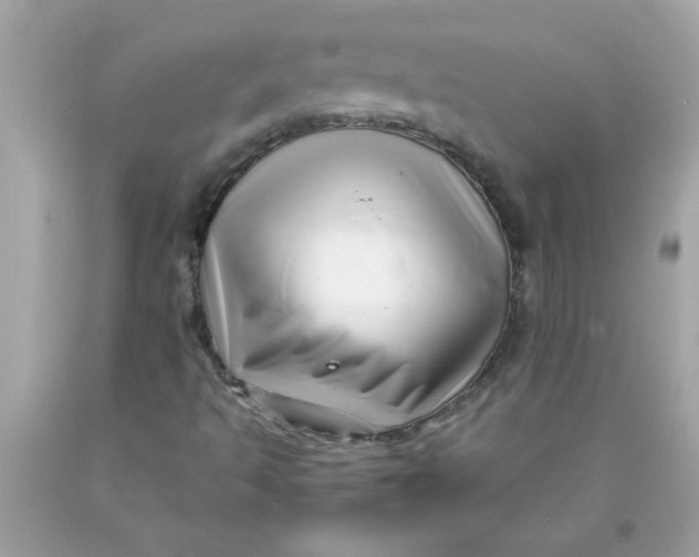 X0000089951493200707201914