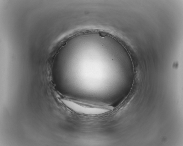 X0000089951494200707201914