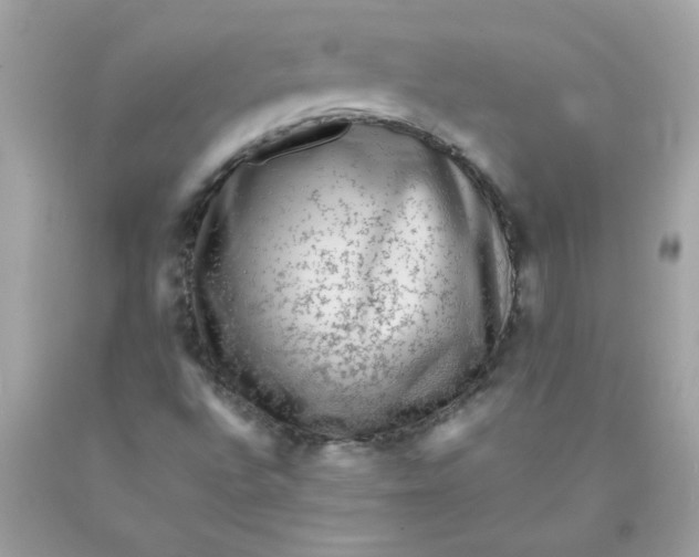X0000089951496200707201914