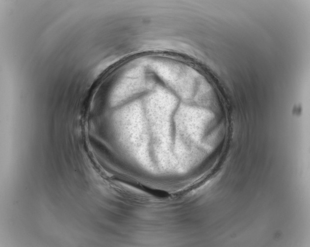 X0000089951497200707201914