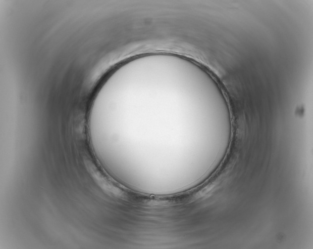 X0000089951499200707201914
